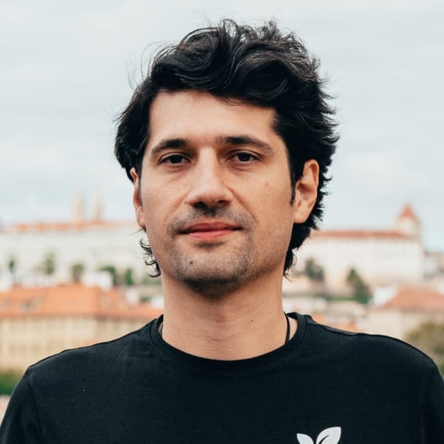 Mihai Pisla